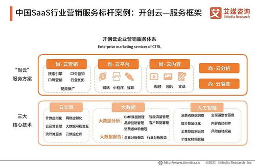 2021年中国企业级SaaS服务行业洞察与标杆案例解析